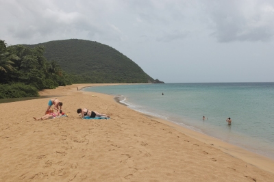 Traumstrand im Norden Guadeloupes (Alexander Mirschel)  Copyright 
Información sobre la licencia en 'Verificación de las fuentes de la imagen'